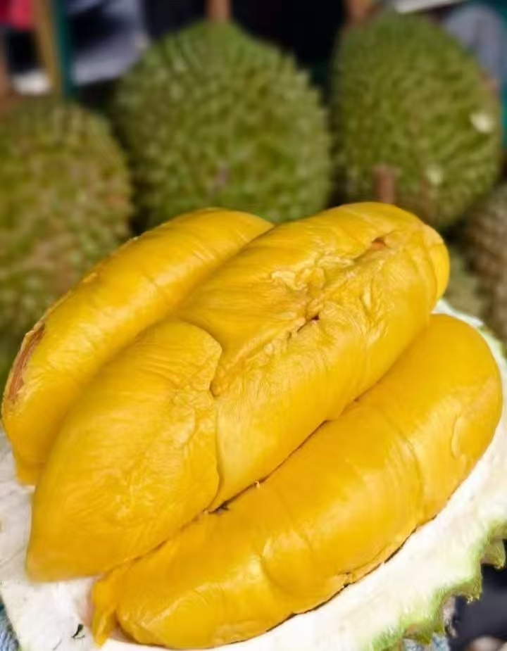 Musang King durian flesh